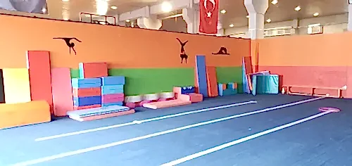 Çaba Akademi