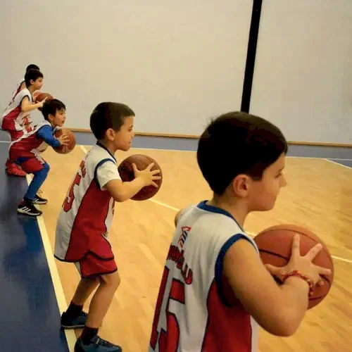 Hidayet Türkoğlu Basketbol ve Spor Okulları - Dikmen